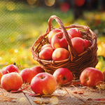 Serwetka Lunch Decor Autumn Apples 33x33 20szt./op.