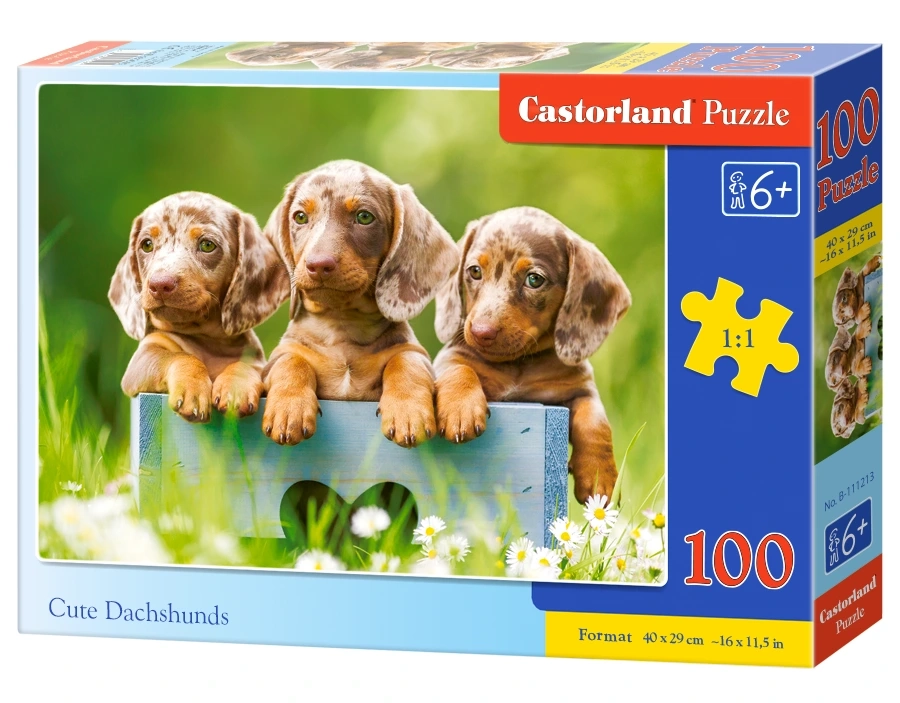 Puzzle 100 elem. Cute dachshunds