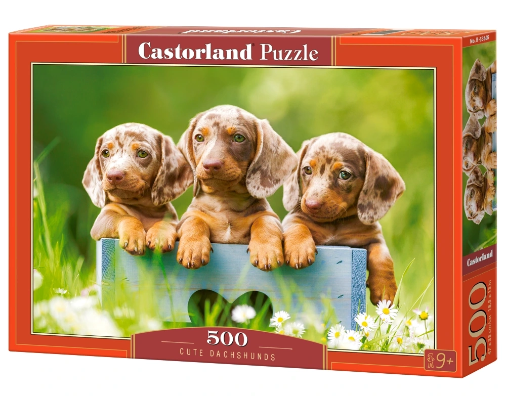 Puzzle 500 elem. Cute Dachshunds