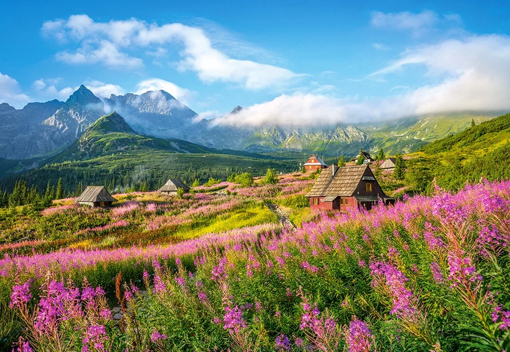 Puzzle 1000 elementów  HALA  GĄSIENICOWA  TATRAS