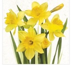 Serwetka Lunch Bunch of Yellow Daffodils SDWI003901