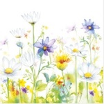 SerwetkI Maki coctail Beautiful Flower Meadow 25x25 20szt./op.CDOG 040201