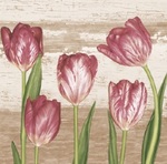 Serwetka Lunch Tulips on Vintage Background SDWI007701