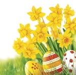 SerwetkI Daisy Wielkanoc lunch - Bunch of Yellow Daffodils with Easter Eggs in Grass SDWL011101