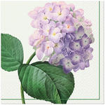 Serwetka Lunch Decor Vintage Hydrangea 33x33 20szt./op.