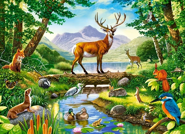 Puzzle 300 Woodland Harmony CASTOR