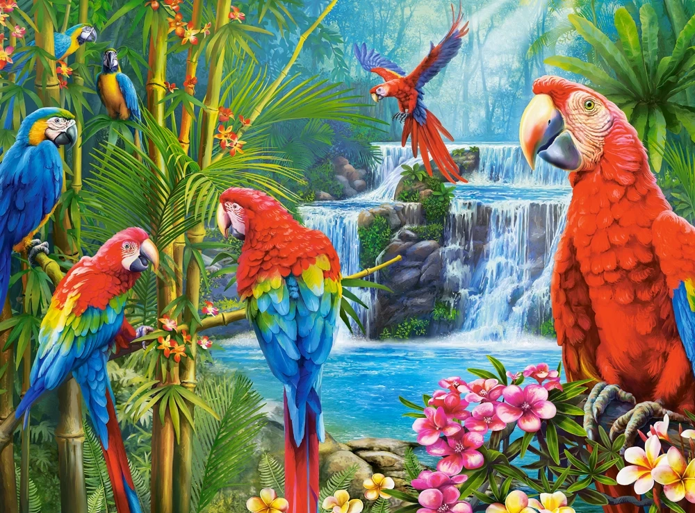 Puzzle 2000 Parrot Meeting CASTOR