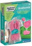 Anatomia
 50252