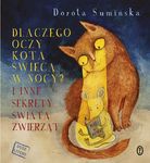 Dlaczego oczy kota świecą w nocy
