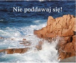 Nie poddawaj się.Perełka 118.