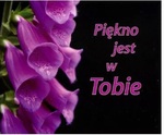 Piękno jest w Tobie. Perełka 155