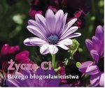 Życzę Ci Bożego błogosławieństwa. Perełka 215