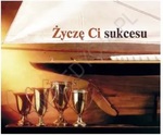ZYCZE CI SUKCESU  PERELKA 217