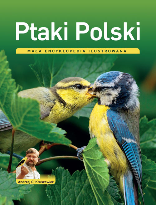 Ptaki Polski. Mała encyklopedia ilustrowana - Thumbnail 1