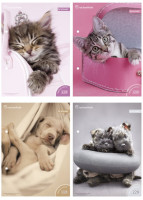 Wkłady do segregatora A6/8k Rachael hale z kolorowankami i naklejkami seria 229