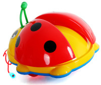 Biedronka (w siatce)