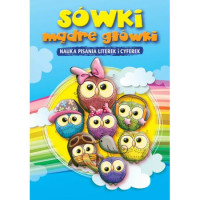 Sówki mądre główki. Nauka pisania literek i cyferek