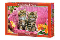 Puzzle 1000 elementów. Kittens on Garden Chair *