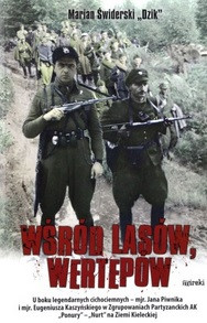 Wśród lasów wertepów