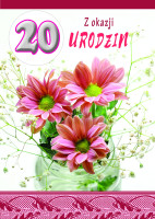Karnet B6 20 Urodziny MIX damskie lub męskie